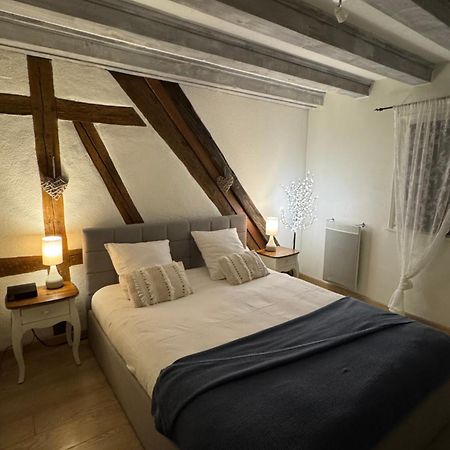 Ferienwohnung Colombages De La Lauch Colmar Exterior foto
