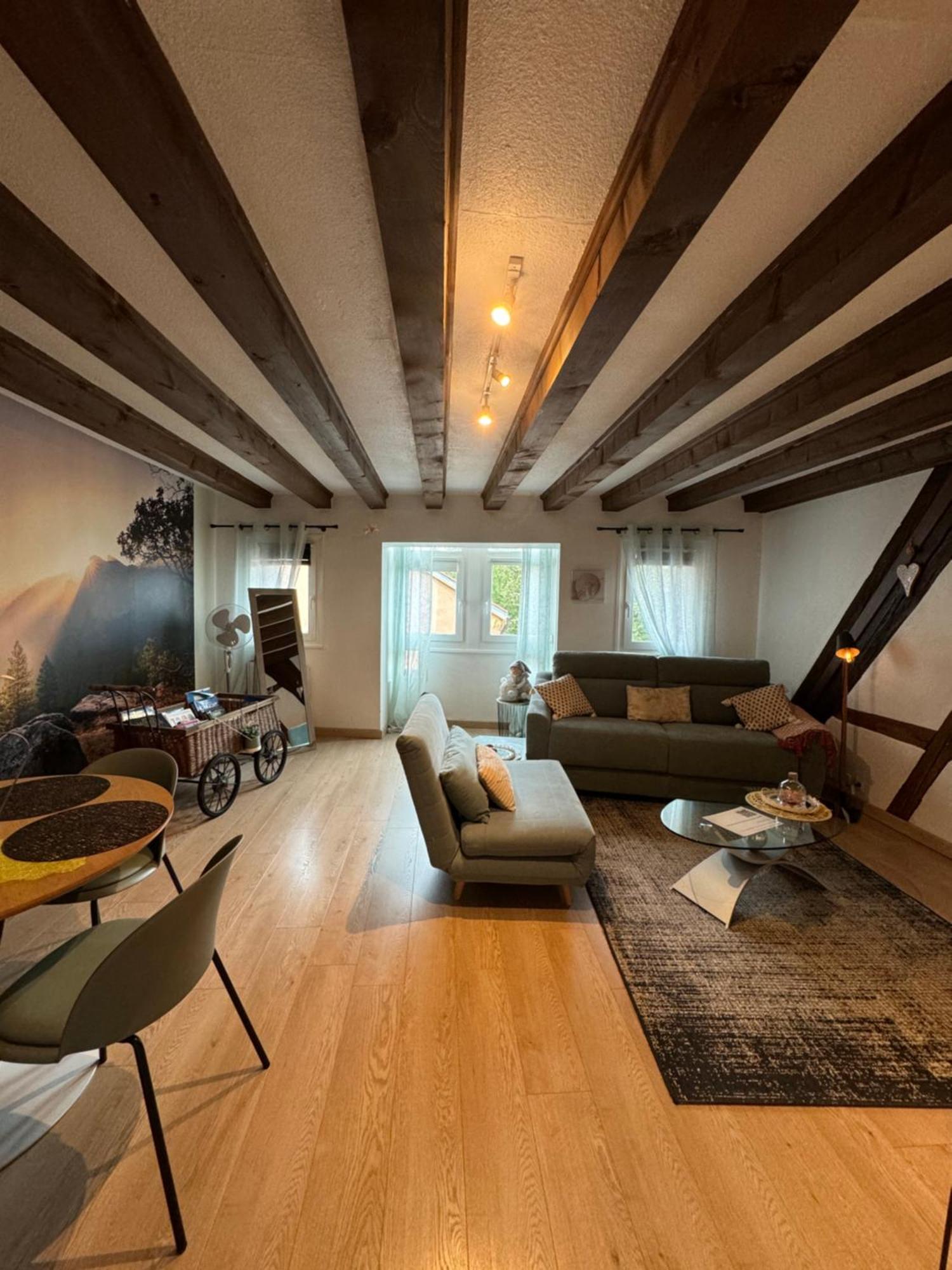 Ferienwohnung Colombages De La Lauch Colmar Exterior foto